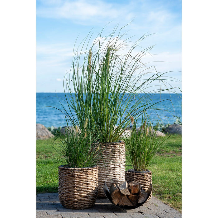 Hanoi Planter - Planter, water hyacinth, round, natural, set of 3