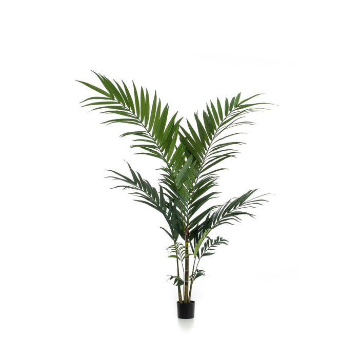 Kunstplant - Kentia -Kentiapalm - 150cm