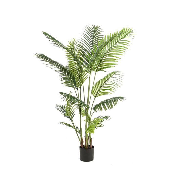 Kunstplant - Howea Forsteriana  - 160 cm