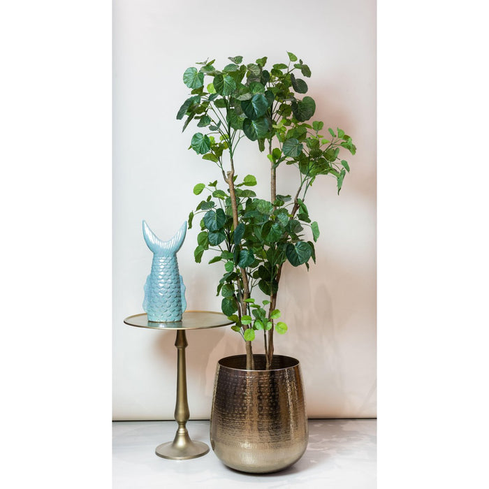 Kunstplant - Polyscias - Aralia - 160 cm