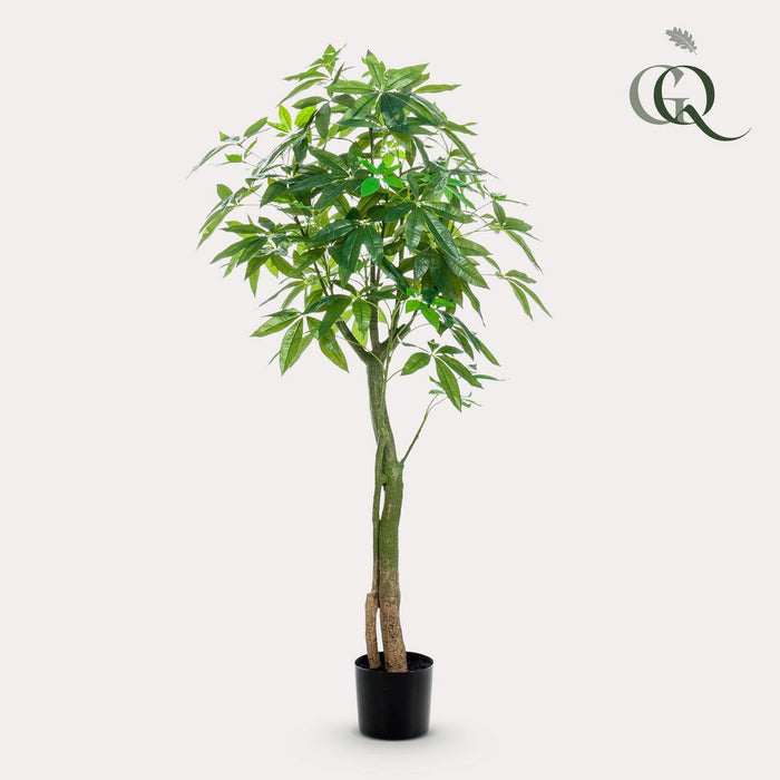 Kunstplant - Pachira Aquatica - Geldboom - 150 cm