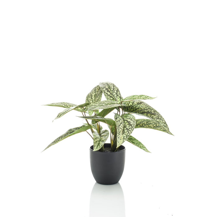 Kunstplant - Calathea Dots - Schaduwplant - 38 cm