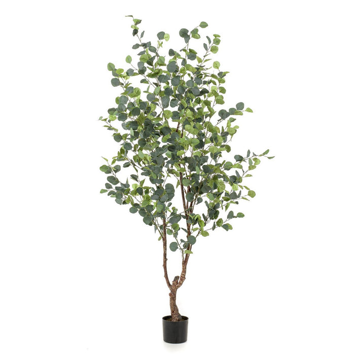 Kunstplant - Eucalyptus - Blauwe Gomboom  - 180 cm