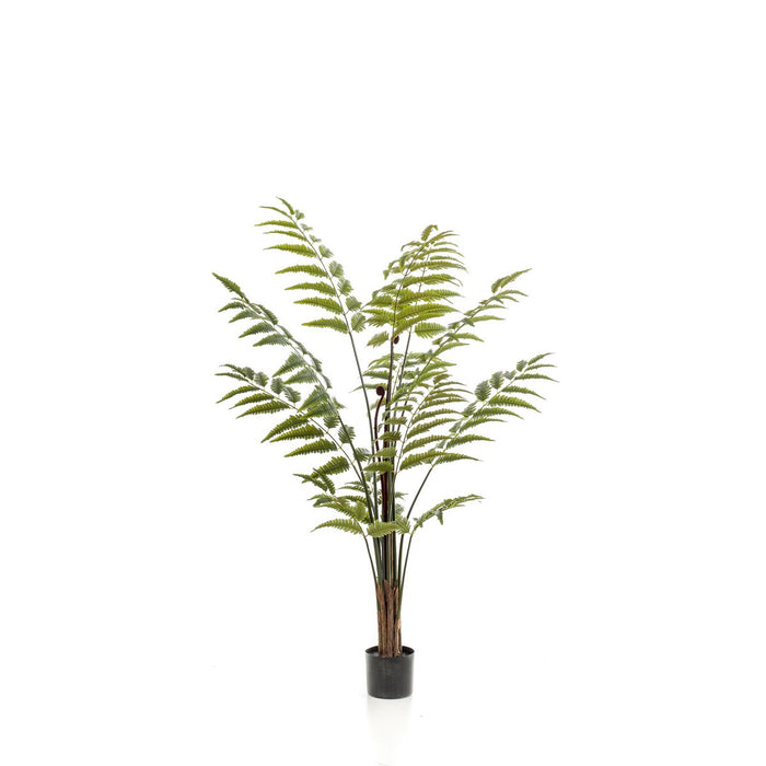 Kunstplant - Rumohra Adiantiformis - Ledervaren - 150 cm