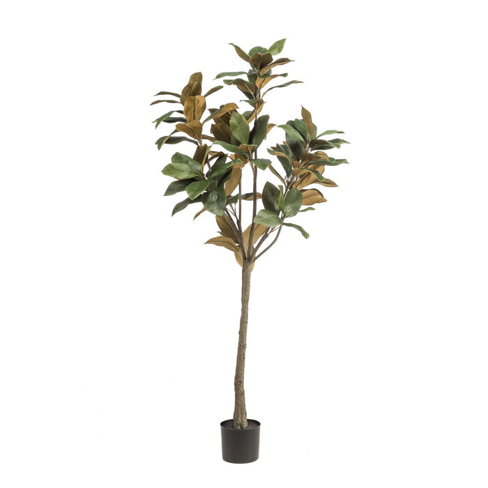 Kunstplant - Magnolia Grandiflora  - 150 cm