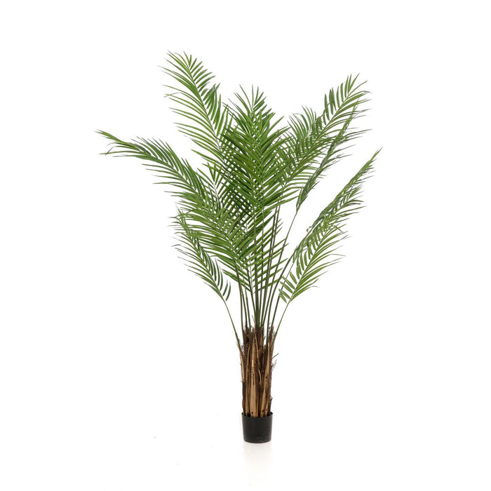 Kunstplant - Areca Lutescens - Goudpalm - 180 cm