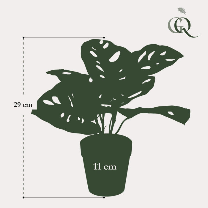 Kunstplanten - Monstera Monkey - Gatenplant - 29 cm