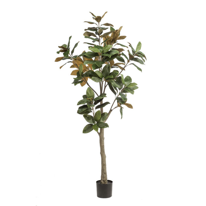 Kunstplant - Magnolia Grandiflora - 180 cm