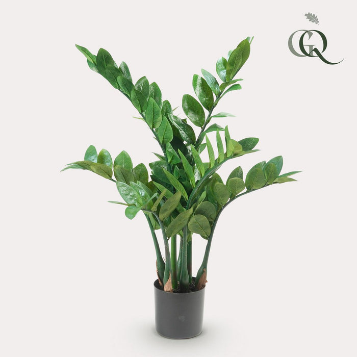 Kunstplant - Zamioculcas - Kamerpalm - 70 cm