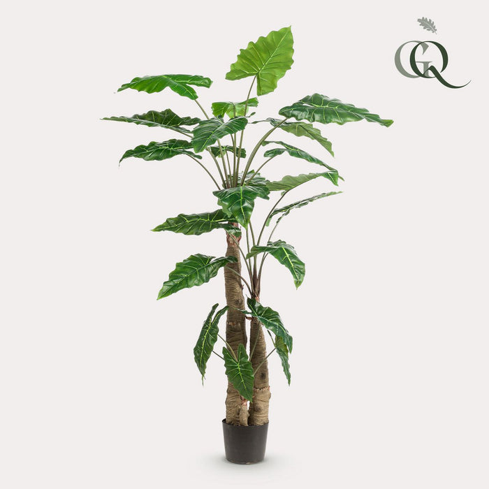 Kunstplant - Alocasia - Olifantsoor - 180 cm