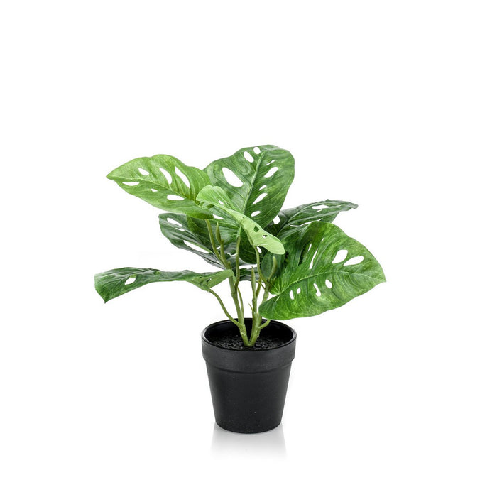 Kunstplanten - Monstera Monkey - Gatenplant - 29 cm