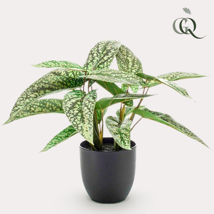 Kunstplant - Calathea Dots - Schaduwplant - 38 cm