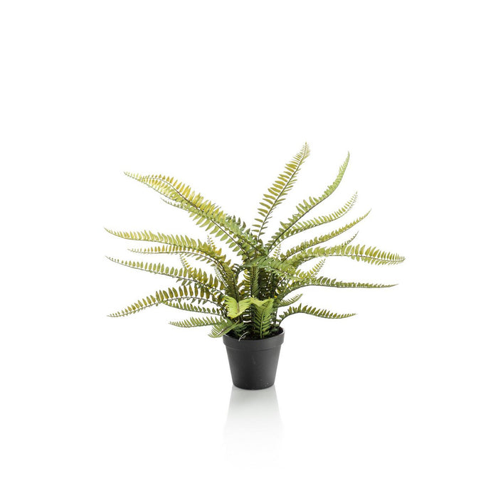 Kunstplant - Nephrolepis Exaltata - Bostonvaren - 55 cm