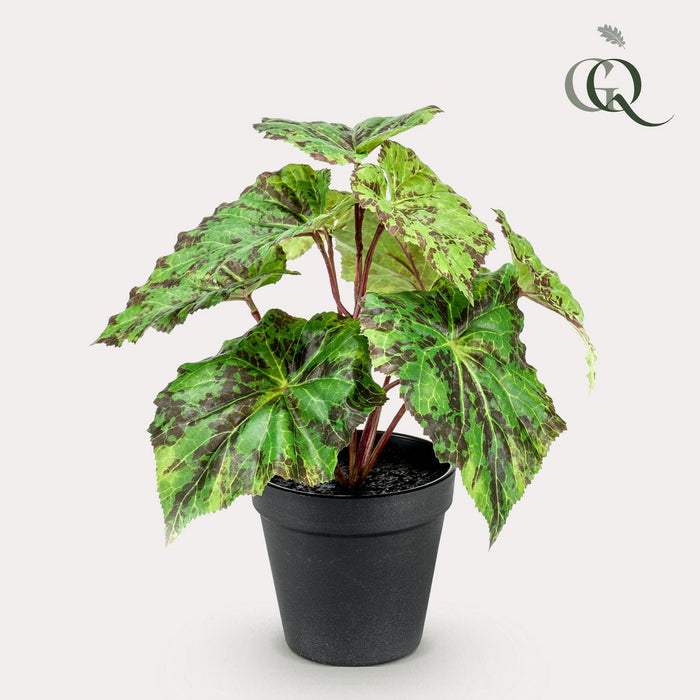 Kunstplant - Begonia Rex - Bladbegonia - 25 cm